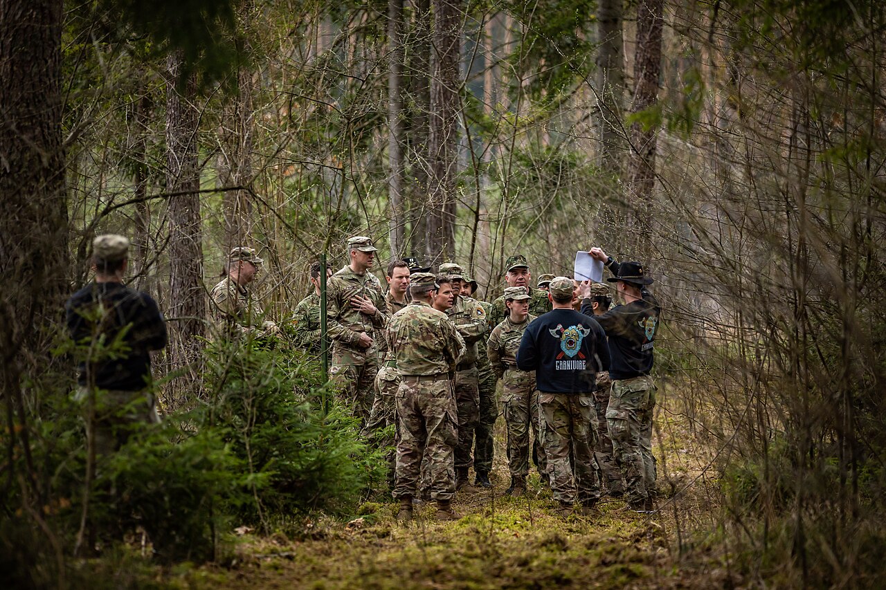 Obligacje skarbowe w Polsce – przewodnik dla początkujących inwestorów