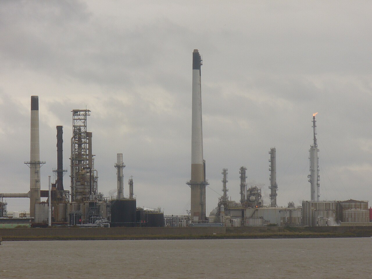 Wielośrodkowe prognozy na ropy naftowej WTI